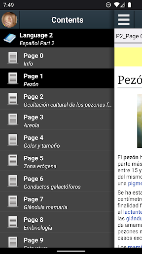 Vista previa de la aplicación