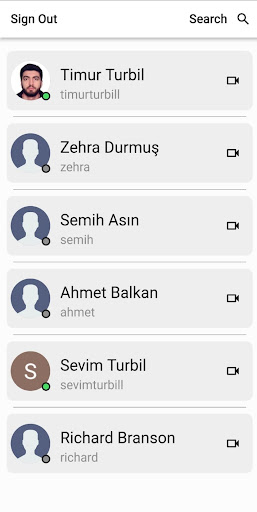 Video Call Screen 2