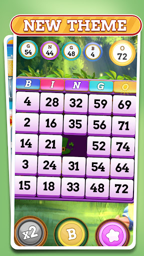 Bingo Festia 2