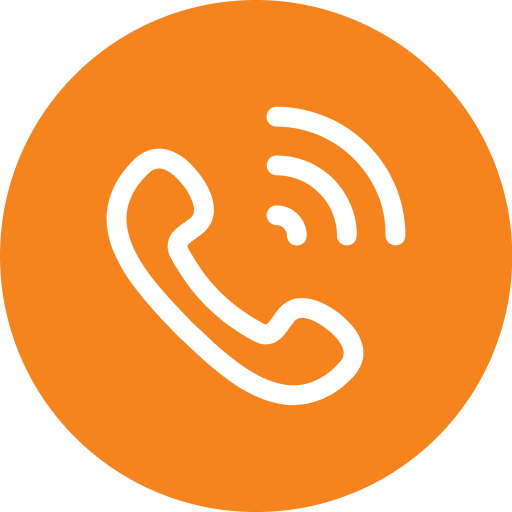 P1 Internal logo