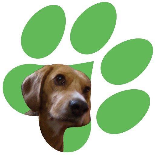 Garritas.co logo