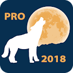 Cover Image of ดาวน์โหลด Lunar Calendar PRO  APK