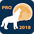 Lunar Calendar PRO 4.2 (Paid)
