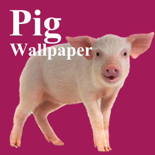 Pigs Wallpaper  Icon