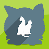 Cat Breeds PRO - BETA icon