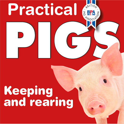 Practical Pigs  Icon