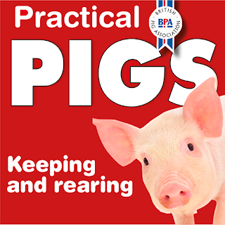 Practical Pigs apk