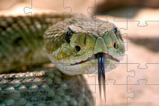 Snake games jigsaw puzzles Screen 2