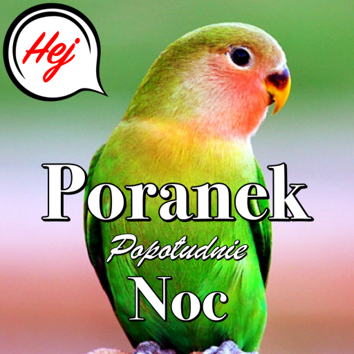 Polish Good Morning to Night logo