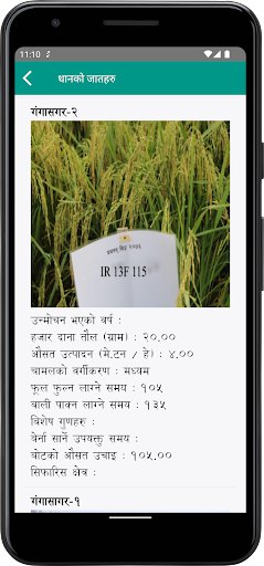 Dhan Guru - NARC Screen 2