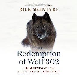 Icon image The Redemption of Wolf 302: From Renegade to Yellowstone Alpha Male