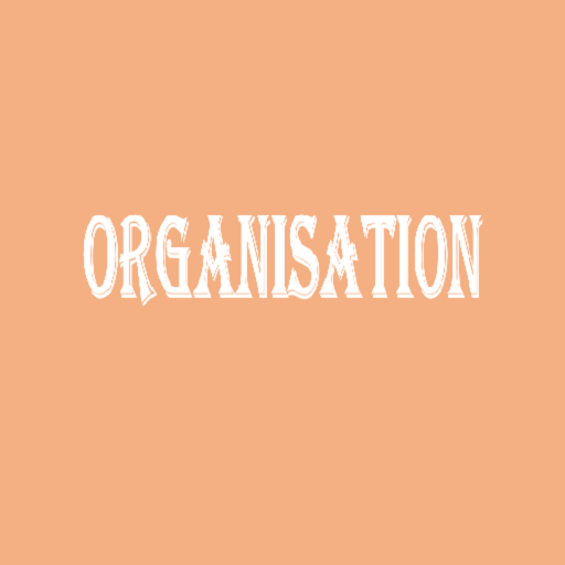 Organisation:Résumé (2BAC-  Gestion Comptable) Download on Windows