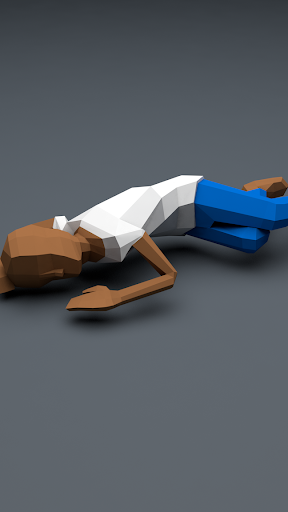 SleepingMan Screen 3