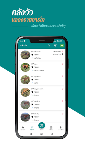 Cow Manager Screen 2