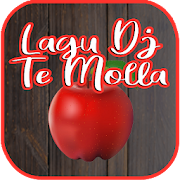 Top 38 Music & Audio Apps Like Lagu Dj Te Molla - Best Alternatives