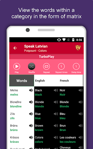 Screenshot of Learn Latvian Language Offline