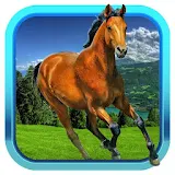 Pony Dash 3D icon