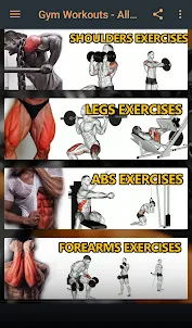 Gym Workout & Exercises Full B