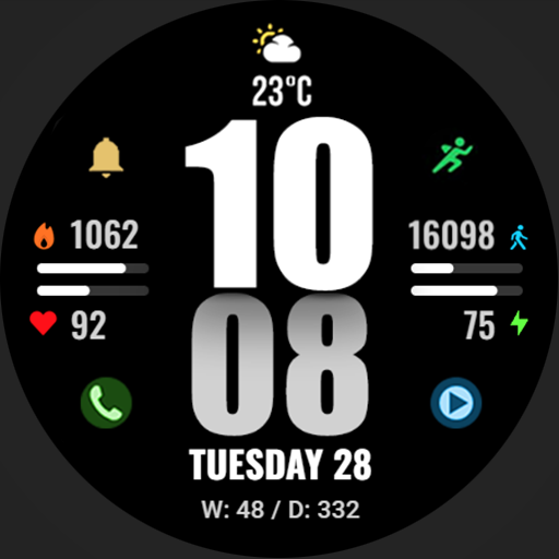 WFP 244 Sports watch face Logo