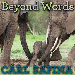 Obraz ikony: Beyond Words: What Animals Think and Feel