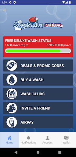 Soapy Bucket Car Wash Screen 2