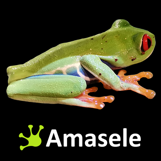 Amasele Guard logo