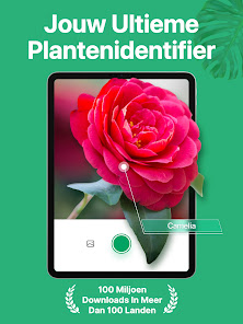 Screenshotafbeelding