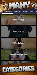 Captura 5 Fondo de pantalla de Bulldog android