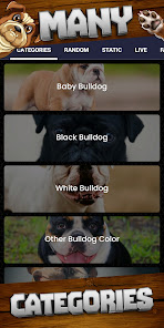 Imágen 5 Fondo de pantalla de Bulldog android