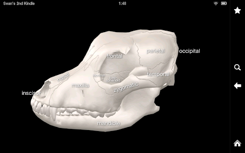 Dog Anatomy: Canine 3Dのおすすめ画像5
