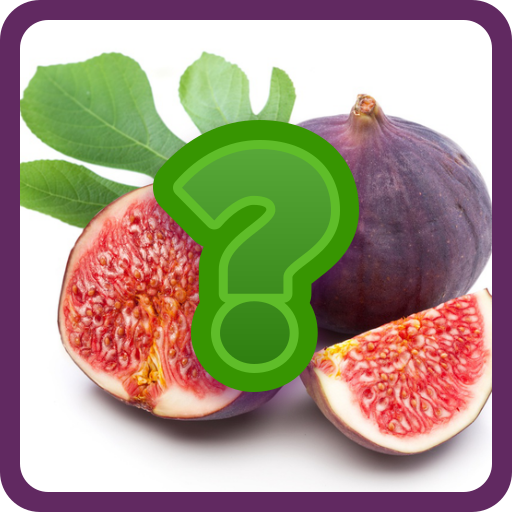 Tebak Menebak Nama Buah buahan