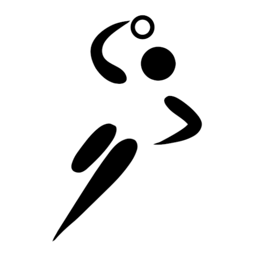 TopTips - handball prediction logo