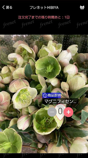 フラワナ+tap Screen 2