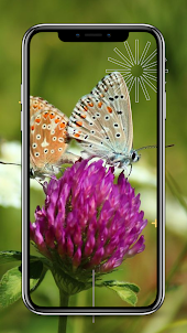 Бабочки Обои HD 4K