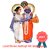Shree Nathji HD Wallpaper : Nathdwara 2017 icon