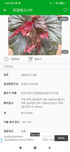 실내 정원용 식물 - 가정에서 키울 수 있는 실내식물 Screen 2