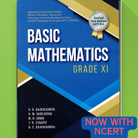 Neb Basic Math Class 11 Guide