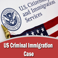 US Criminal Immigration Case