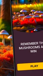 Mushroom Pro