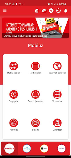 Qulay Mobile Screen 3