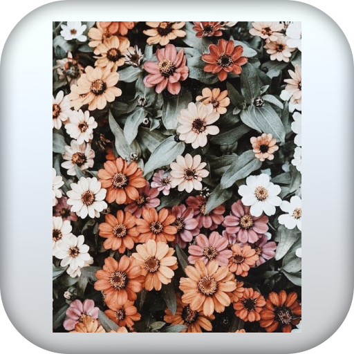 Flowers Wallpaper HD – 4k logo