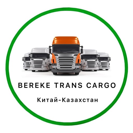 BerekeTransCargo logo
