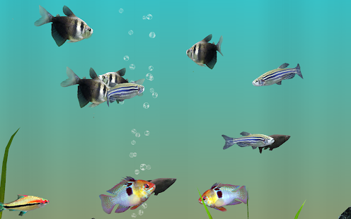 3d Aquarium Live Wallpaper Mod Apk Image Num 80