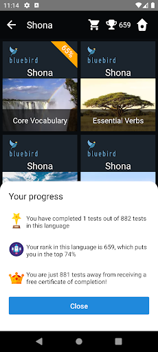 Shona Language Tests Screen 3