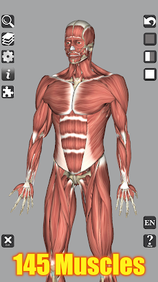 3D Bones and Organs (Anatomy)のおすすめ画像2