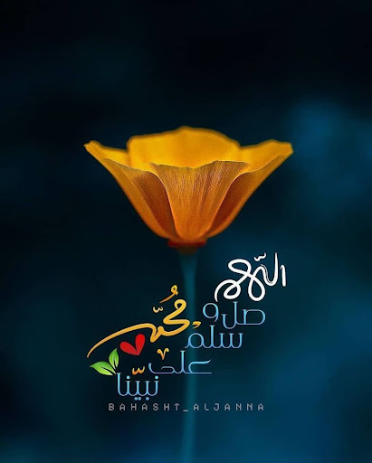 Android application خلفيات تهنئة ميلاد الرسول screenshort