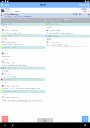 EvoWallet - Money Manager screenshot 17