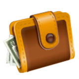 E-Wallet Pro (Income Expense) icon