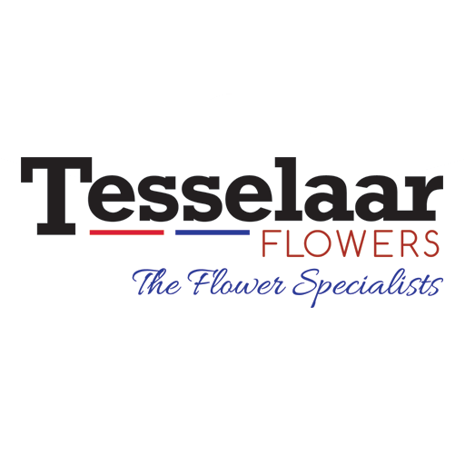 Tesselaar logo
