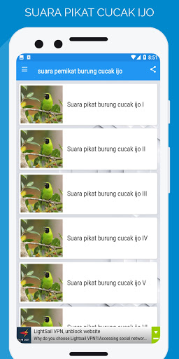suara pemikat burung cucak ijo Screen 2